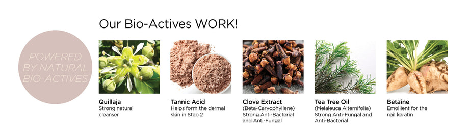 Famous Names Aceso Active Ingredients; Powered By Natural Bio-Actives.
