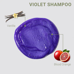 Loma Violet Shampoo and Conditioner Duo