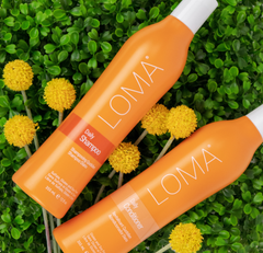 Loma Daily Shampoo and Conditioner Duo