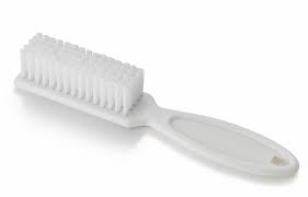 Nail Brush (Little)