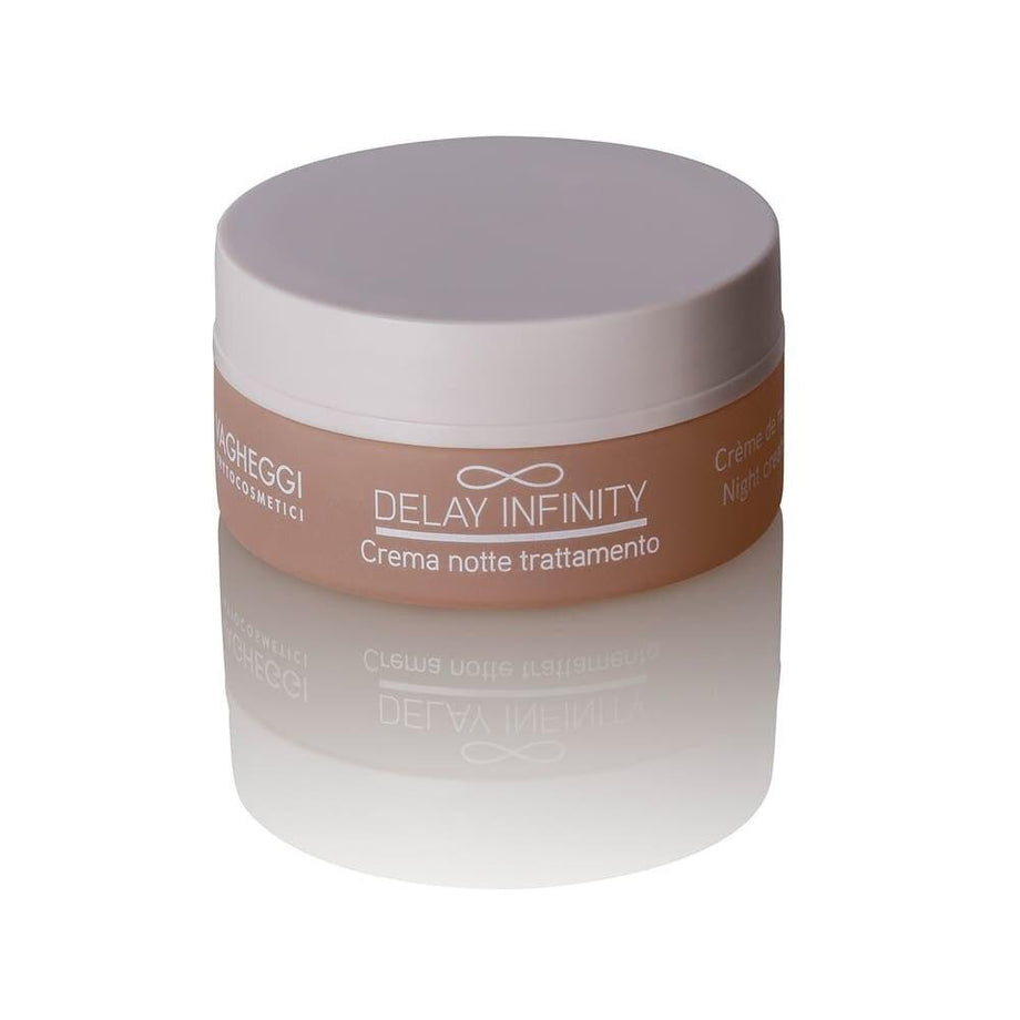 Vagheggi Delay Infinity Night Cream 50ml